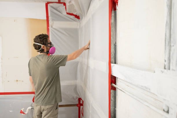Best Mold Remediation for Healthcare Facilities  in , NE