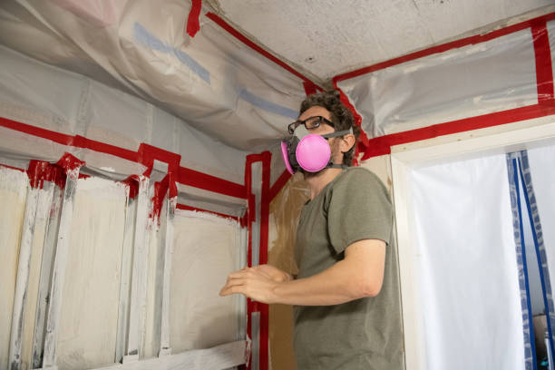 Best Mold Damage Restoration  in , NE