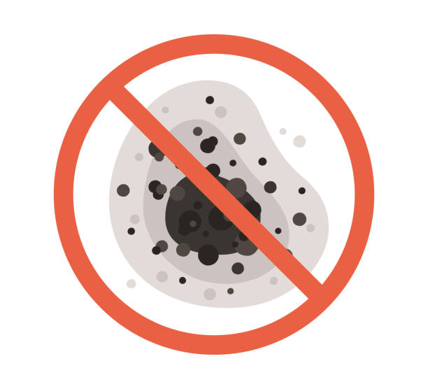 Best Air Quality Testing for Mold Spores  in , NE
