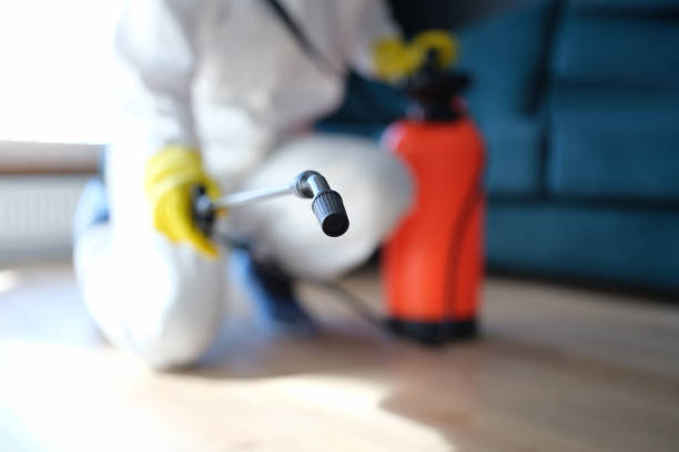 Best Post-Construction Mold Inspection  in , NE