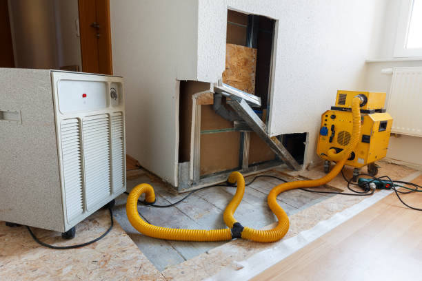 Best Real Estate Mold Inspection  in , NE