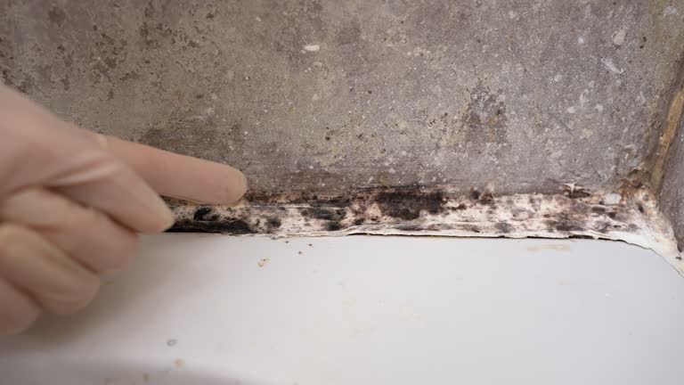 Best Indoor Air Quality Assessment  in , NE